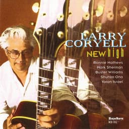 New High - Larry Coryell