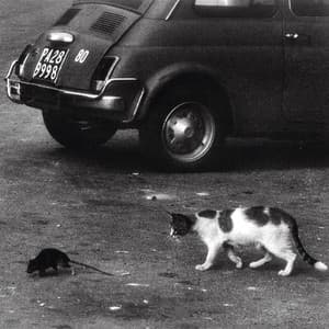 Palermo - Conway the Machine