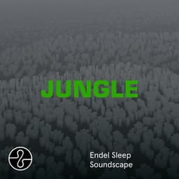 JUNGLE - The Blaze