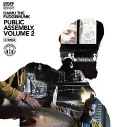 Public Assembly Volume 2 - Damu The Fudgemunk