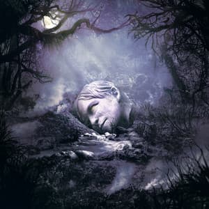 SZNZ: Autumn - Weezer