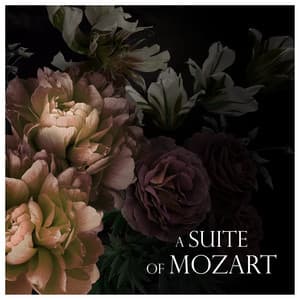 A Suite of Mozart - Wolfgang Amadeus Mozart