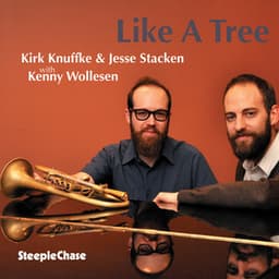 Like A Tree - Jesse Stacken