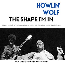 The Shape I'm In - Howlin' Wolf