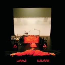 Professional Sunflow - Laraaji