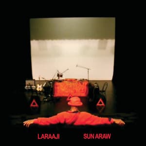 Professional Sunflow - Laraaji