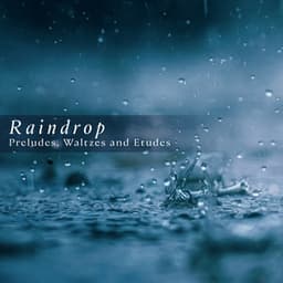'Raindrop': Preludes, Waltzes & Etudes - Frédéric Chopin