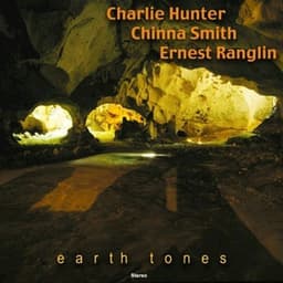 Earth Tones - Chinna Smith