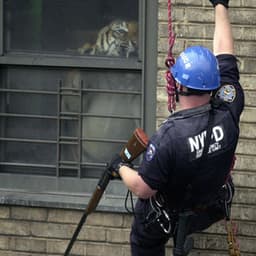 Shrines - Armand Hammer