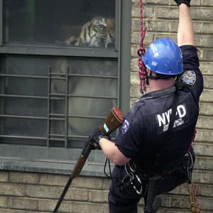 Shrines - Armand Hammer