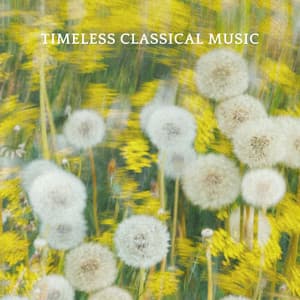 Timeless Classical Music - Johann Sebastian Bach