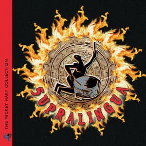 Planet Drum Supralingua - Mickey Hart