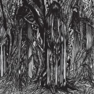 Black One - sunn O)))