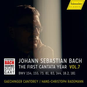 The first Cantata Year - Vision Bach Vol. 7 - Johann Sebastian Bach