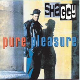 Pure Pleasure - Shaggy