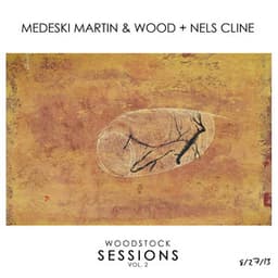 Woodstock Sessions Vol. 2 - Medeski, Martin & Wood