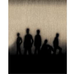 A Musical History - The Band