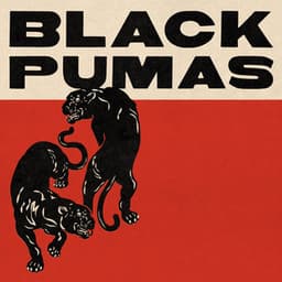 Black Pumas - Expanded Deluxe - Black Pumas