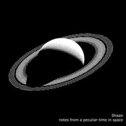 Notes from a Peculiar Time in Space - Shaan