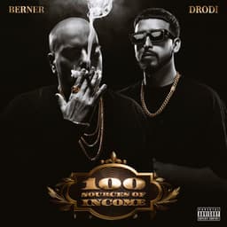 100 Sources of Income - Berner