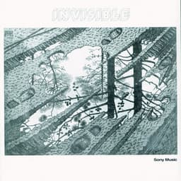 Invisible - Invisible