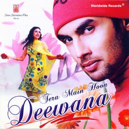 Tera Main Hoon Deewana - Soham
