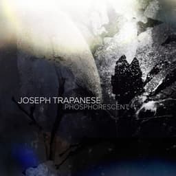 Phosphorescent - Joseph Trapanese