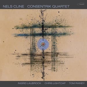 Consentrik Quartet - Nels Cline