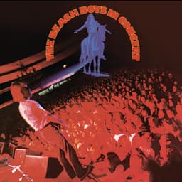 The Beach Boys In Concert - The Beach Boys