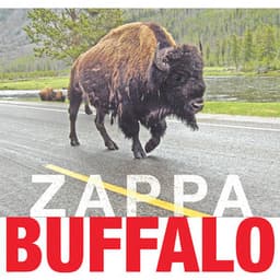 Buffalo - Frank Zappa