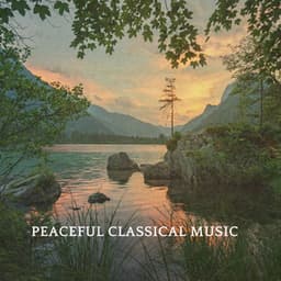 Peaceful Classical Music - Johann Sebastian Bach