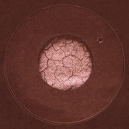 Me & You To The Moon - Hampton Hawes