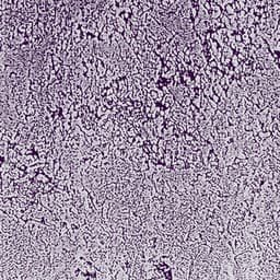 Multifactorial Dynamic Pathways - The Haters
