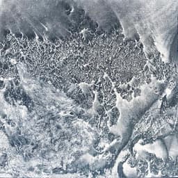 C6Fe2RN6 - Rob Mazurek