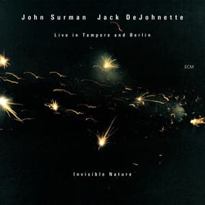 Invisible Nature - John Surman