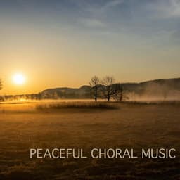 Peaceful Choral Music - The Hilliard Ensemble