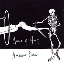 Music of Hair - Andrew Bird