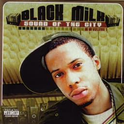 Sound Of The City - Black Milk