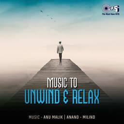 Music To Unwind & Relax - Anand-Milind