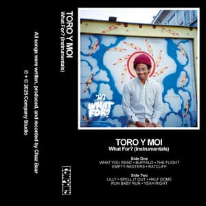 What For? - Toro y Moi