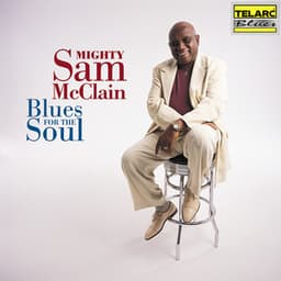 Blues For The Soul - Mighty Sam McClain
