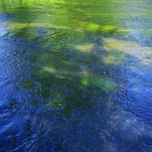 Suddenly Remixes - Caribou