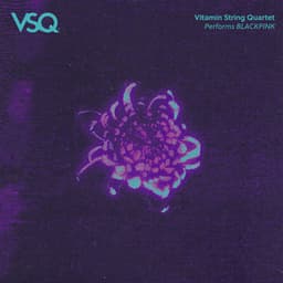 VSQ Performs BLACKPINK - Vitamin String Quartet