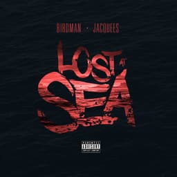 Lost At Sea - Birdman