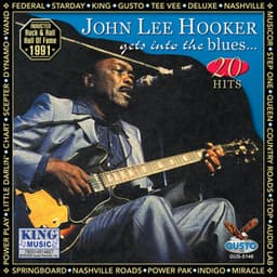 Gets Into The Blues - John Lee Hooker