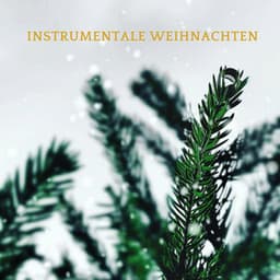 Instrumentale Weihnachten - Adolphe Adam