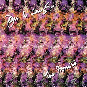 The Promise - John McLaughlin