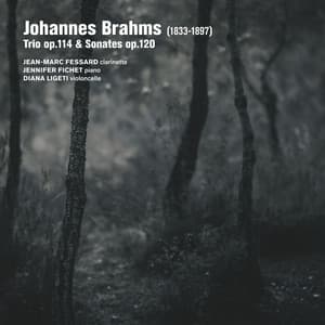 Brahms: Trio Op. 114, Sonates Op. 120 - Johannes Brahms