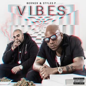 Vibes - Berner