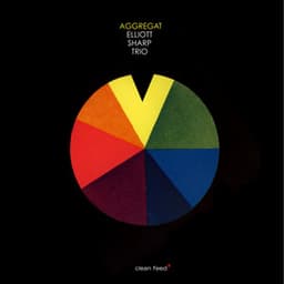 Aggregat - Elliott Sharp Trio